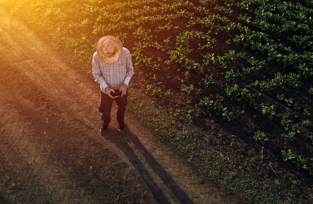 5 novas tecnologias que irão revolucionar o agronegócio