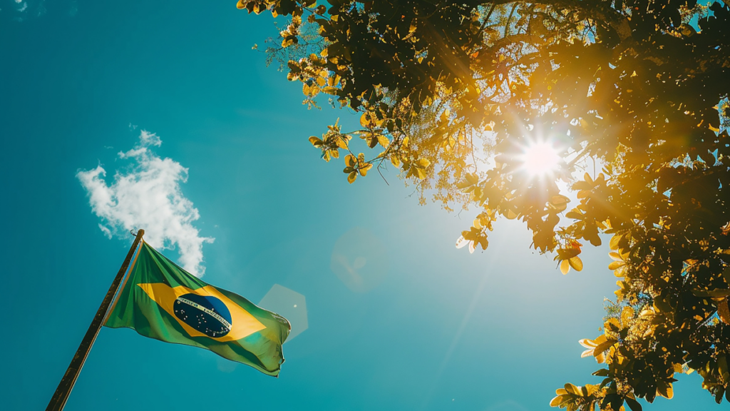 Brazilian Flag